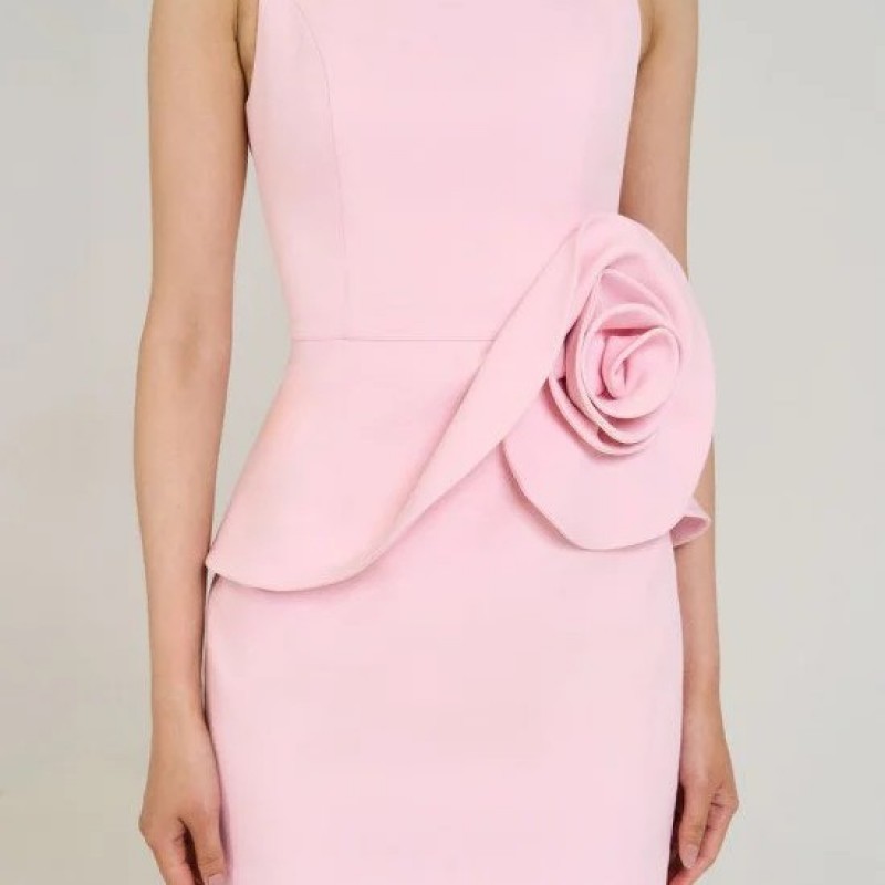 Φόρεμα μίνι με βολάν Pink Access